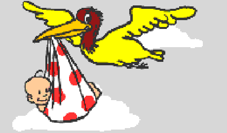 a_geburt_stoerche05.gif.jpg